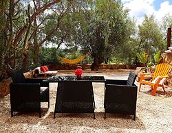 Gato Preto de Silves