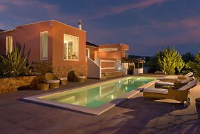 Gato Preto de Silves