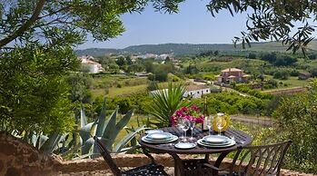 Gato Preto de Silves