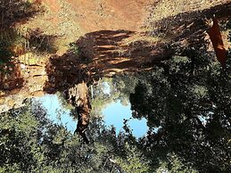 Gato Preto de Silves