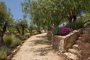 Gato Preto de Silves