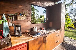 Gato Preto de Silves