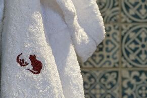 Gato Preto de Silves