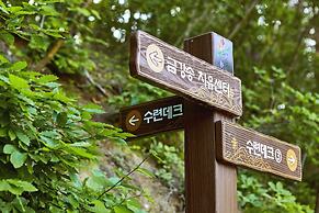 Geumgangsong Ecorium