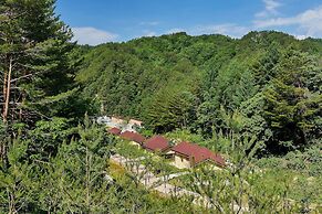 Geumgangsong Ecorium