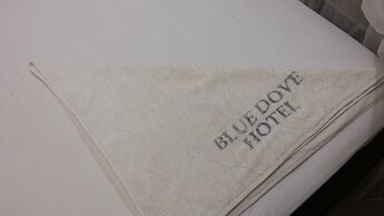 Blue Dove Hotel Arua