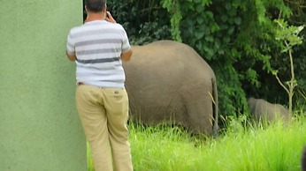 Global Village Hotel