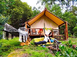 Glamping tipo safari