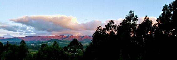 Glamping tipo safari