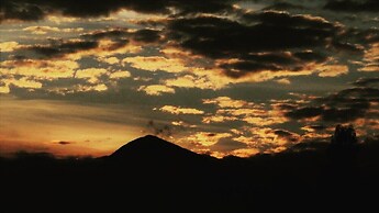 Glamping tipo safari