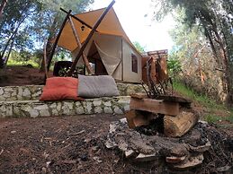 Glamping tipo safari