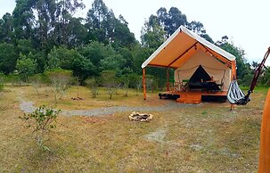 Glamping tipo safari