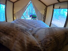 Glamping tipo safari
