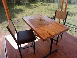 Glamping tipo safari