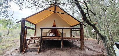 Glamping tipo safari