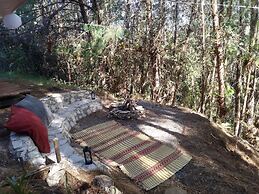 Glamping tipo safari