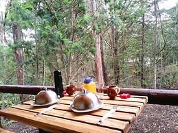 Glamping tipo safari