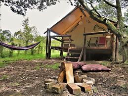 Glamping tipo safari