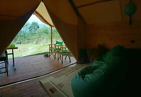 Glamping tipo safari