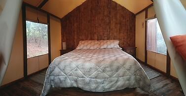 Glamping tipo safari