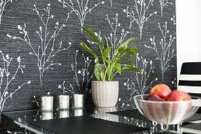 Aura City Center Tartu Holidays