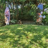 Pousada Paraíso do Luz