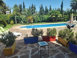 Riad Tanjil