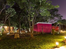 Colorbox Beds and Rooms