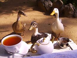 The Icebear Guesthouse