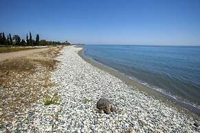 Villa for Rent in Larnaca 1012