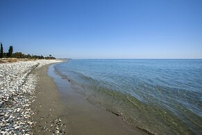 Villa for Rent in Larnaca 1012