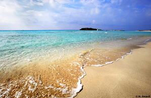 Villa for Rent in Protaras 1309