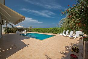 Beautiful Villa With Private Pool, Paralimni Villa 1235