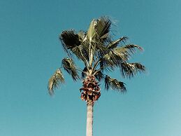 Villa in Windsor Palms Resort 1433