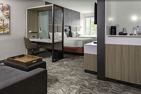 SpringHill Suites by Marriott Atlanta Alpharetta/Roswell