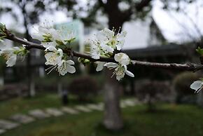 Xitang Yanyu Jiangnan Jinglan Hotel