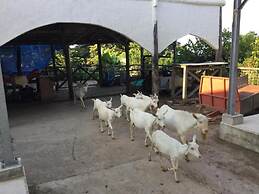 Muwmin Farm - Hostel