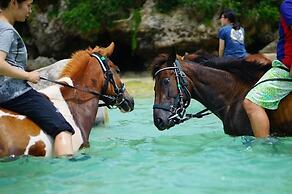 Muwmin Farm - Hostel