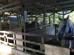 Muwmin Farm - Hostel