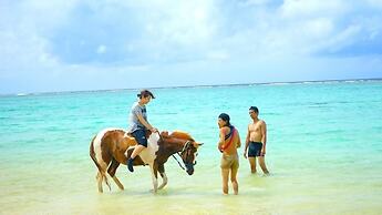 Muwmin Farm - Hostel