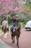 Muwmin Farm - Hostel