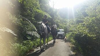 Muwmin Farm - Hostel