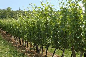 Chambres sous les vignes du Buttois