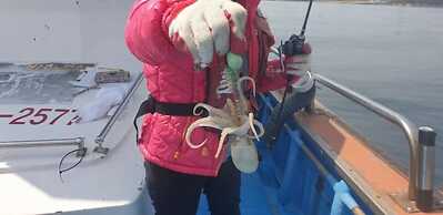 Anmyeondo In You Pension