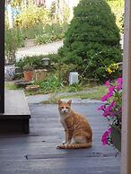 Anmyeondo In You Pension