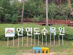 Anmyeondo In You Pension