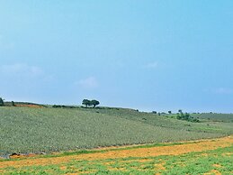 Trang An International Hotel