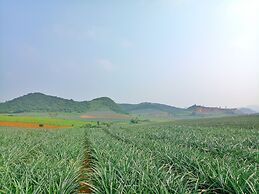 Trang An International Hotel