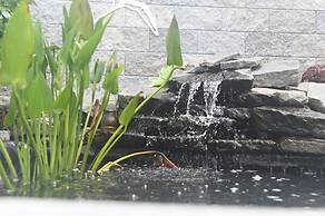 La Croisee Des Sentiers