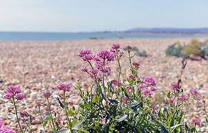 Pevensey Beach Retreat